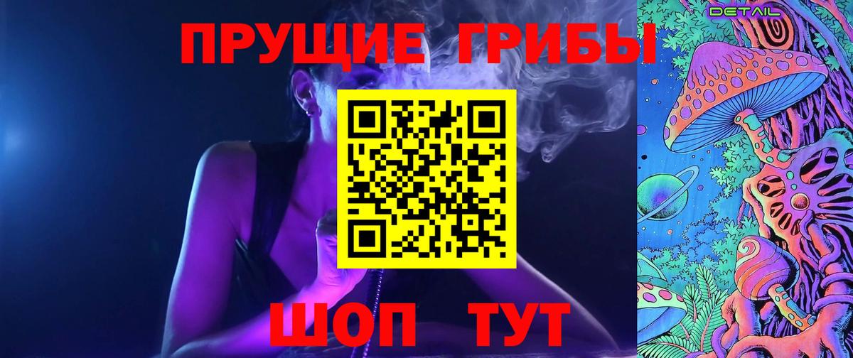 Псилоцибиновые грибы Psilocybine cubensis Ессентуки