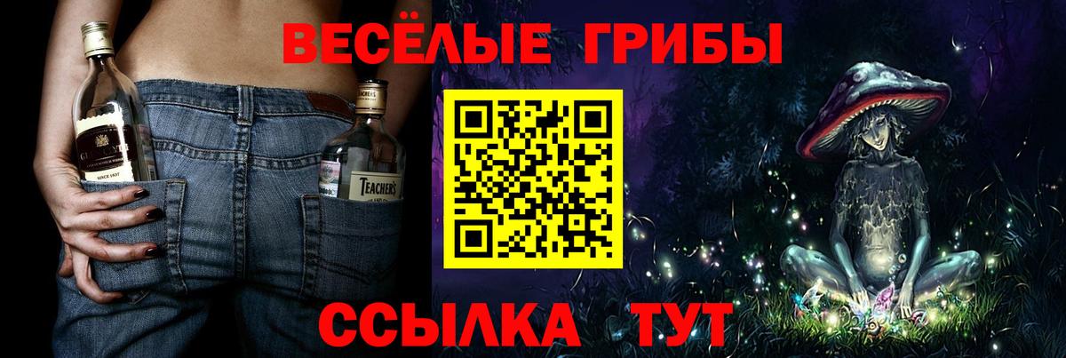 Ессентуки  Псилоцибиновые грибы мухоморы  наркотики  Вход с VPN 