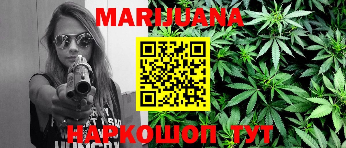 Шишки марихуана планчик  Вход с VPN  Шишки марихуана план  Ессентуки 